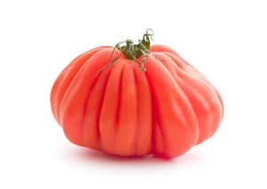 Coeur de Boeuf Tomatoes (Kilo) - Osolocal2U