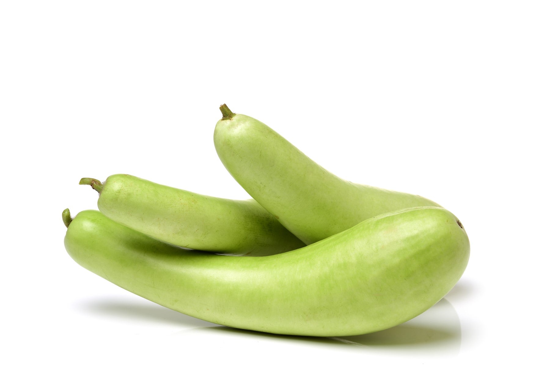Dudhi Bottle Gourd Osolocal2U