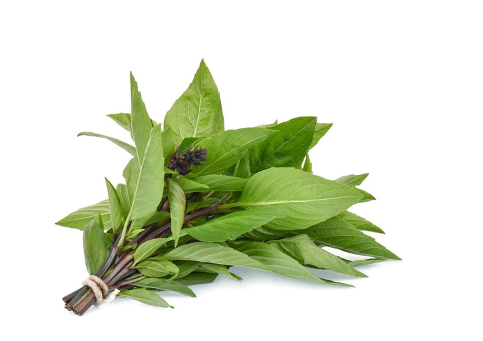 Thai Basil (Bunch)