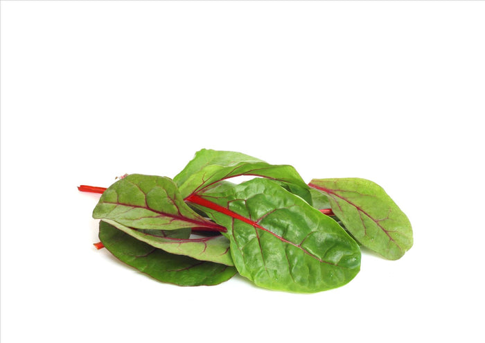 Baby Red Chard (Catering Pack 500g)