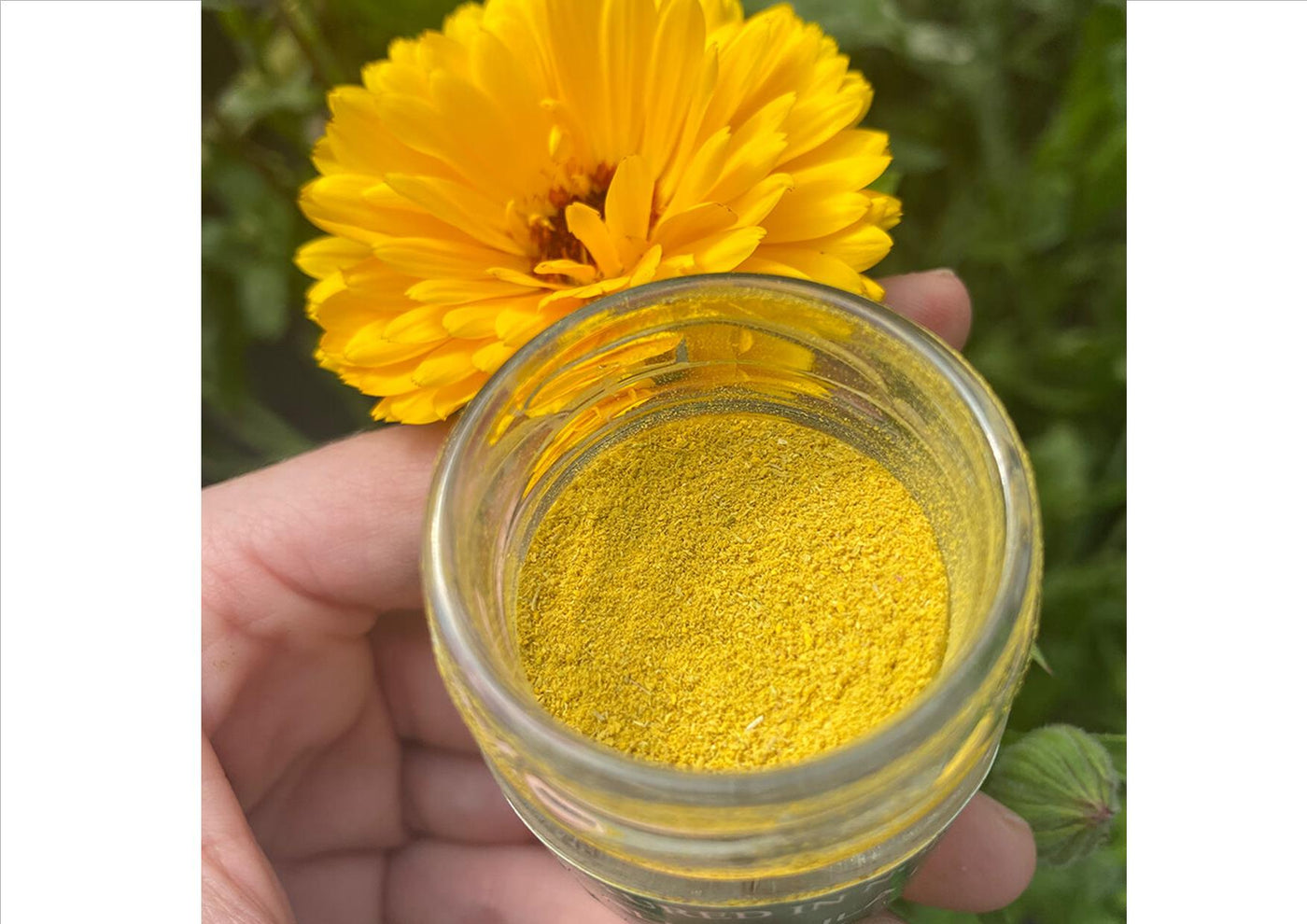 Nurtured in Norfolk - Calendula Powder Edible Flowers (Dust) (10g) (Cut ...