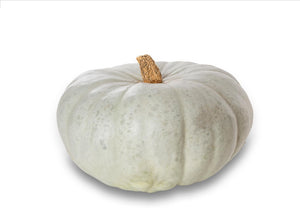 Crown Prince Squash/Pumpkin (Each)