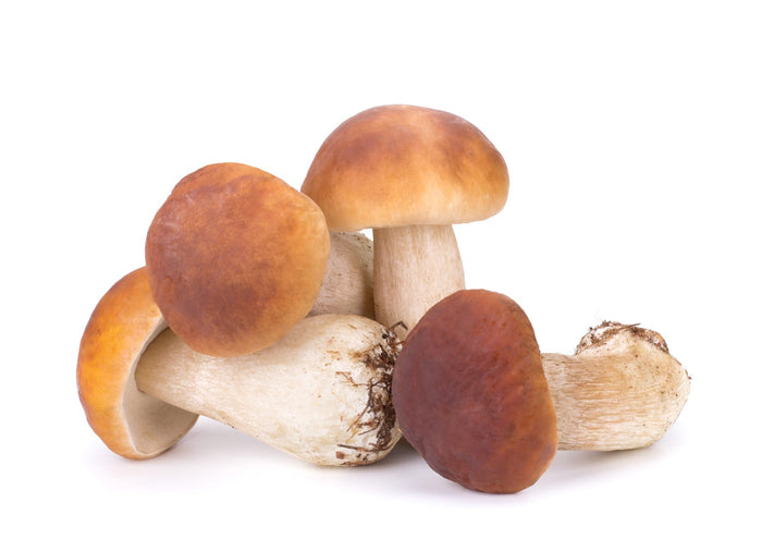 Cepes/Ceps/Porcini (200g)