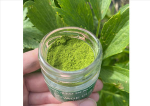 Nurtured in Norfolk - Lovage Herb Powder (Dust) (10g) (Cut-off 12pm)