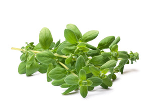 Marjoram (100g)
