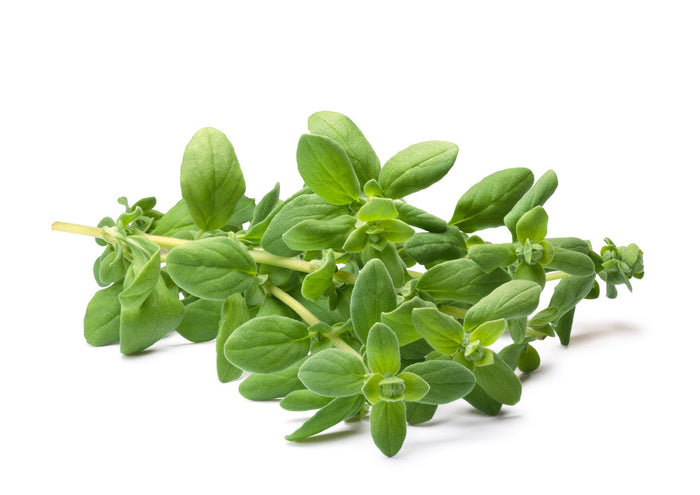 Marjoram (100g)