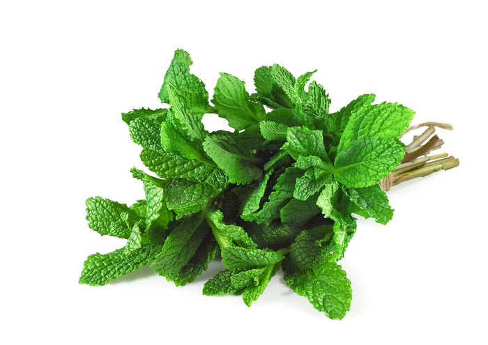 Mint