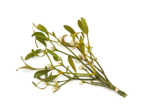 Small Mistletoe Bunch (Each)