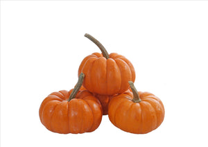 Munchkin Pumpkin (Each)