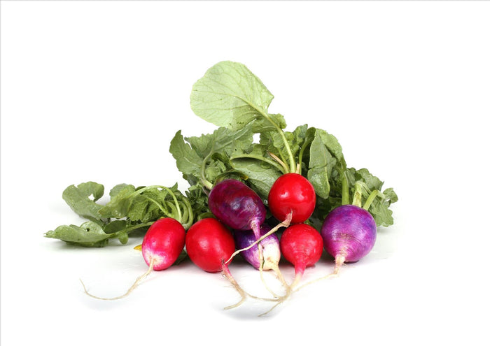 Rainbow Radish (Bunch)