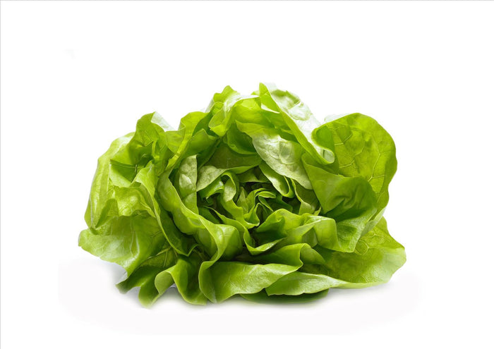 Lettuce Round/Flat (Each)