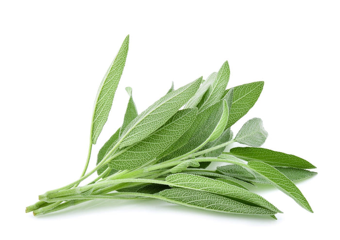 Sage (100g)