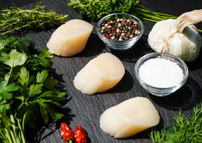 Scallops (Pack of 3)