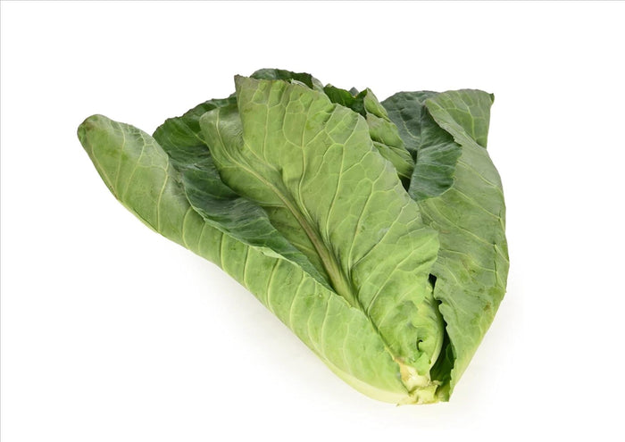 Spring Green Cabbage (500g)