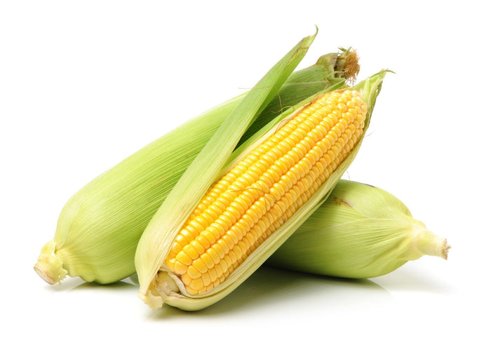 Corn on the Cob (Each)