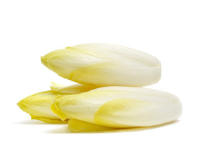 White Chicory